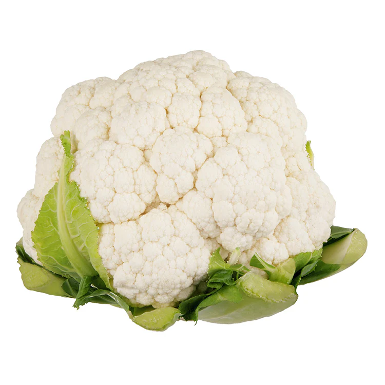 All Organic